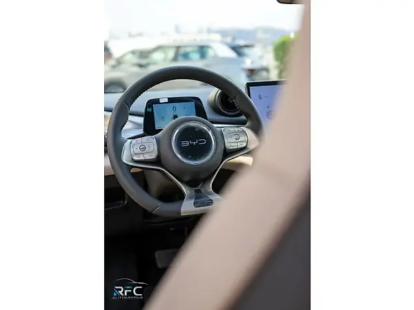 BYD Dolphin - Imagem 20