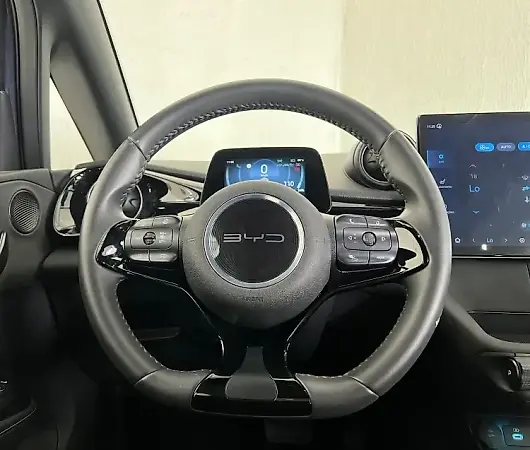 BYD Dolphin Plus - Imagem 16