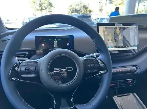 BYD Dolphin Mini - Imagem 8