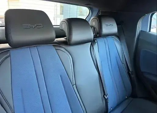 BYD Dolphin Mini - Imagem 7