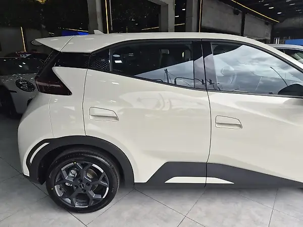 BYD Dolphin Mini - Imagem 8