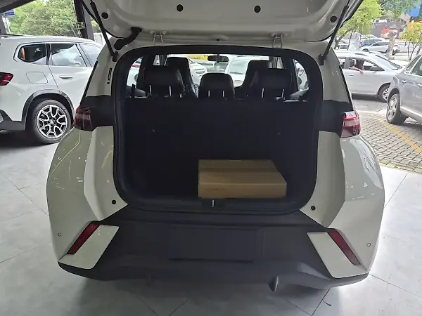 BYD Dolphin Mini - Imagem 19