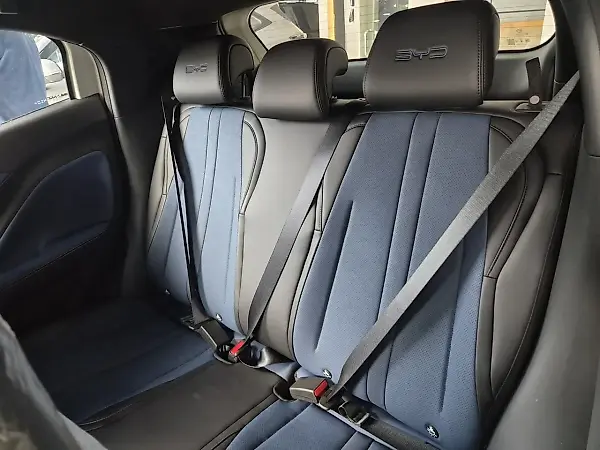 BYD Dolphin Mini - Imagem 18