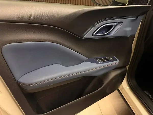 BYD Dolphin - Imagem 14