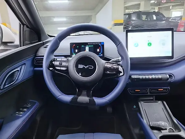 BYD Dolphin Mini - Imagem 11