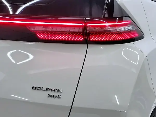 BYD Dolphin Mini - Imagem 16