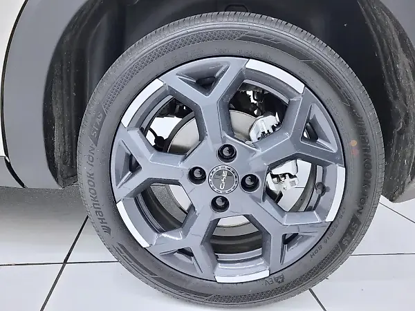BYD Dolphin Mini - Imagem 18