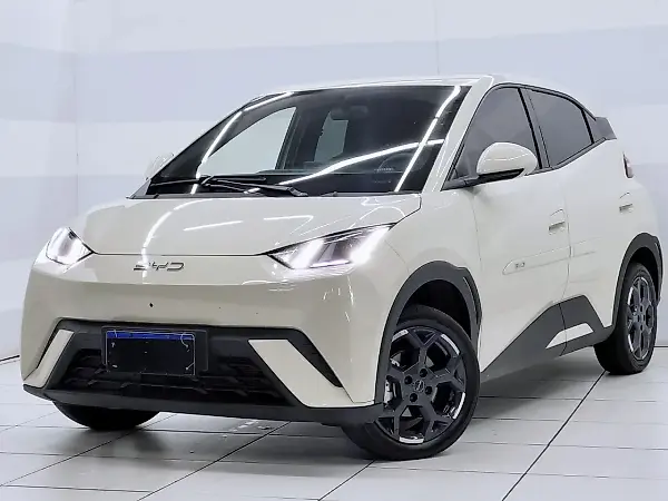 BYD Dolphin Mini - Imagem 19