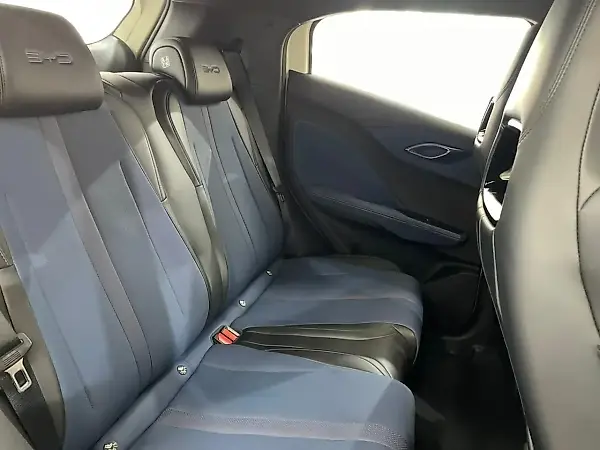 BYD Dolphin Mini - Imagem 14