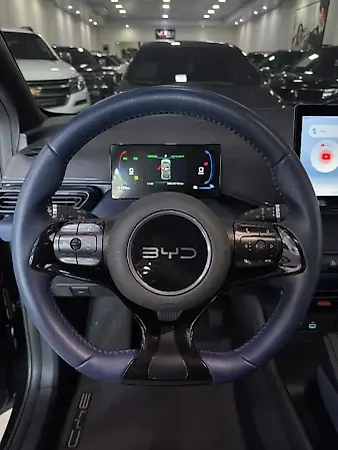 BYD Dolphin Mini - Imagem 8