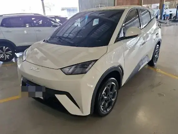 BYD Dolphin Mini - Imagem 2