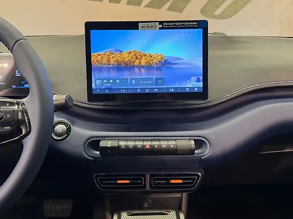BYD Dolphin Mini - Imagem 12
