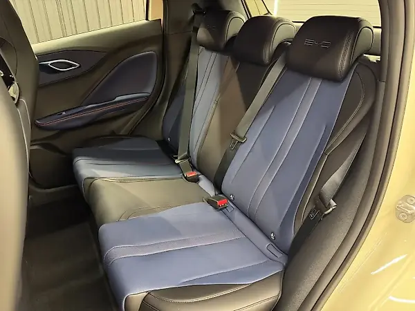 BYD Dolphin Mini - Imagem 18