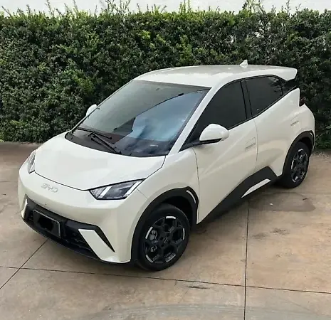 BYD Dolphin Mini - Imagem 2