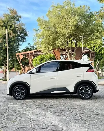 BYD Dolphin Mini - Imagem 6