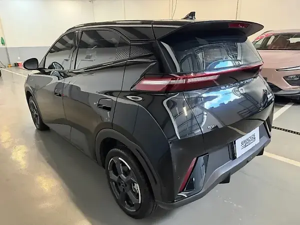BYD Dolphin Mini - Imagem 6