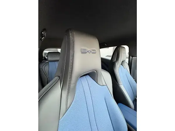 BYD Dolphin Mini - Imagem 12