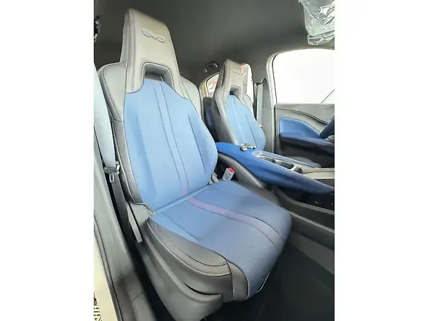 BYD Dolphin Mini - Imagem 13