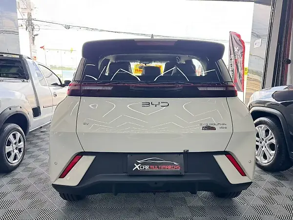 BYD Dolphin Mini - Imagem 16