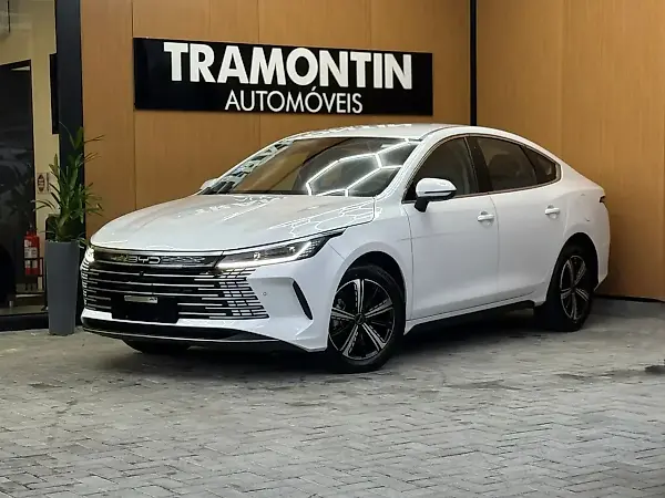 BYD King - Imagem 1