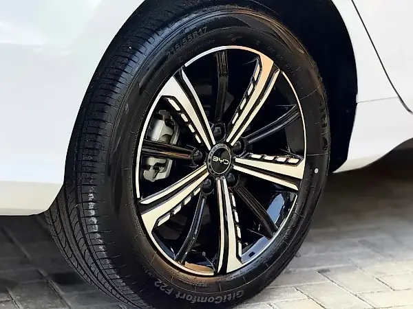 BYD King - Imagem 8