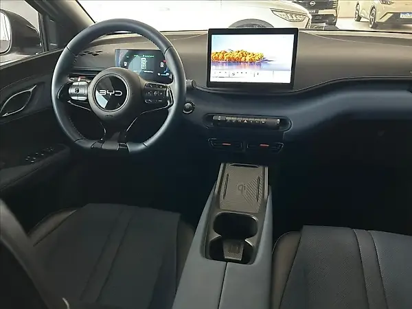 BYD Dolphin Mini - Imagem 8