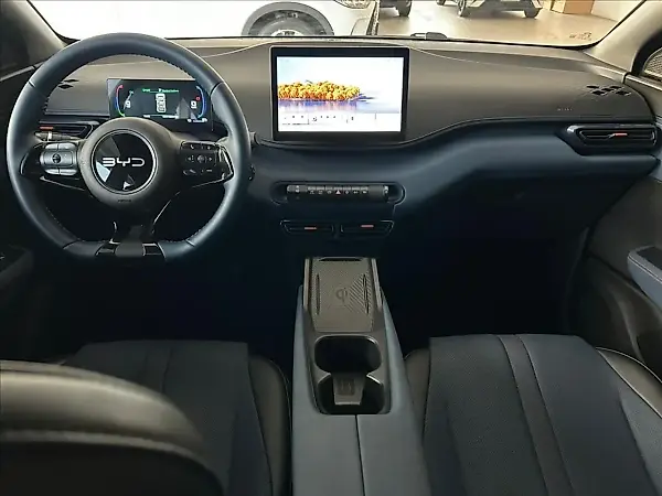 BYD Dolphin Mini - Imagem 9