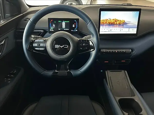 BYD Dolphin Mini - Imagem 7