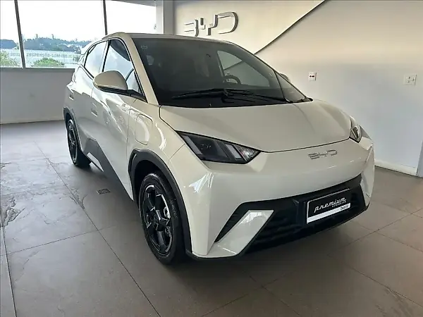BYD Dolphin Mini - Imagem 6
