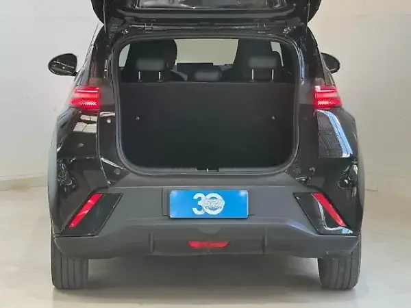 BYD Dolphin Mini - Imagem 19