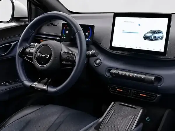 BYD Dolphin Mini - Imagem 6