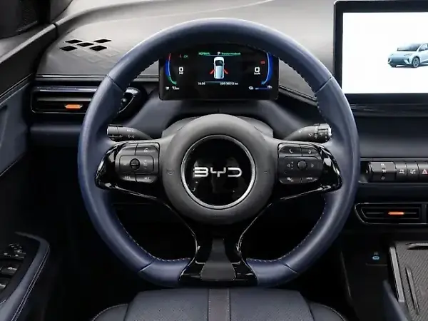 BYD Dolphin Mini - Imagem 10