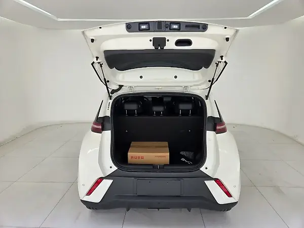 BYD Dolphin Mini - Imagem 8
