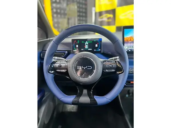 BYD Dolphin Mini - Imagem 12