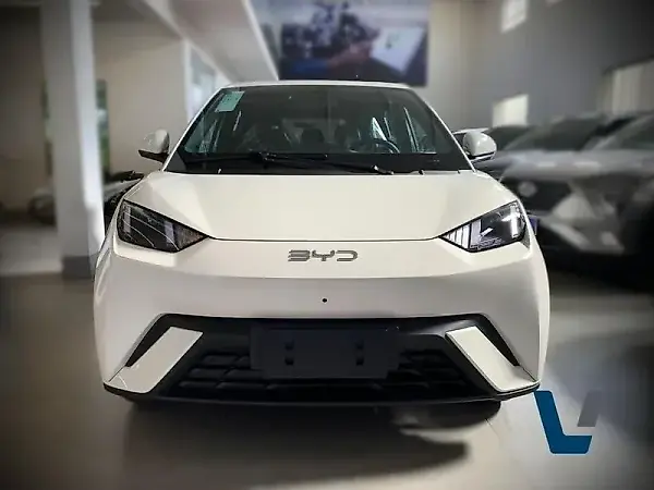 BYD Dolphin Mini - Imagem 2