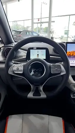 BYD Dolphin - Imagem 11
