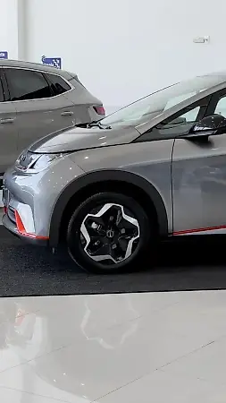 BYD Dolphin - Imagem 14