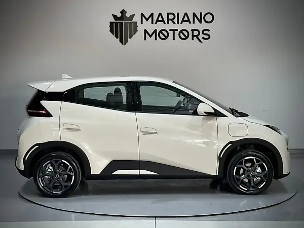 BYD Dolphin Mini - Imagem 13