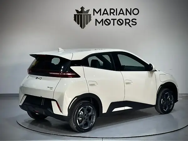 BYD Dolphin Mini - Imagem 12
