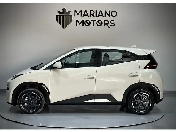 BYD Dolphin Mini - Imagem 15