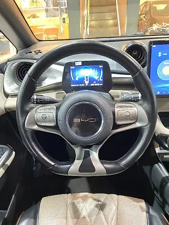 BYD Dolphin - Imagem 12