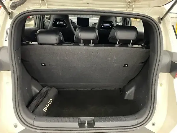 BYD Dolphin Mini - Imagem 14