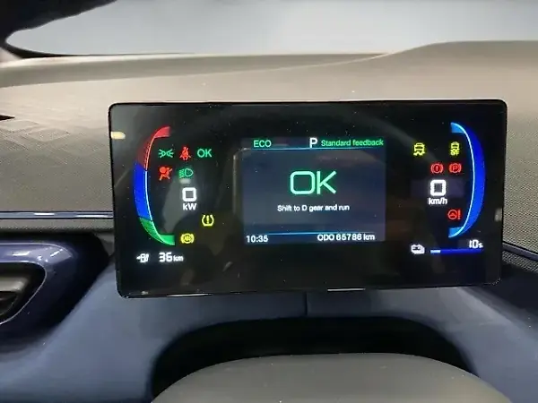 BYD Dolphin Mini - Imagem 12