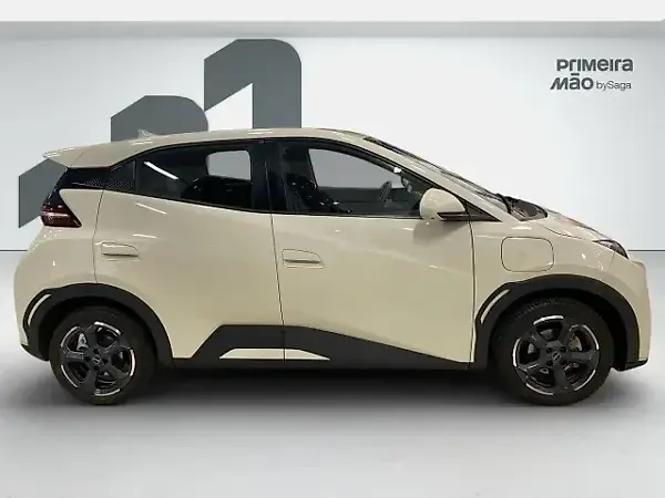 BYD Dolphin Mini - Imagem 4