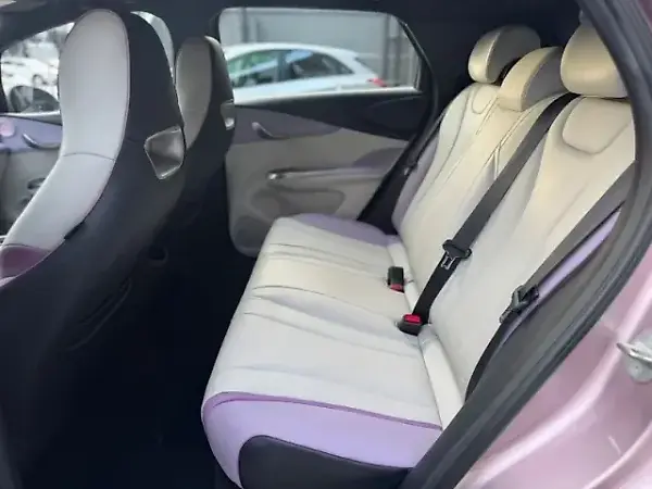 BYD Dolphin - Imagem 14