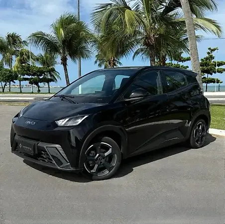 BYD Dolphin Mini - Imagem 2
