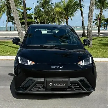 BYD Dolphin Mini - Imagem 3