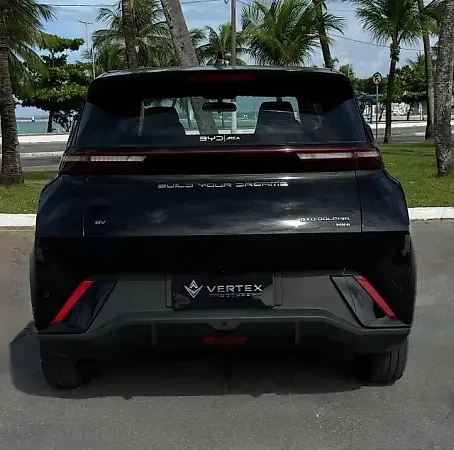 BYD Dolphin Mini - Imagem 6