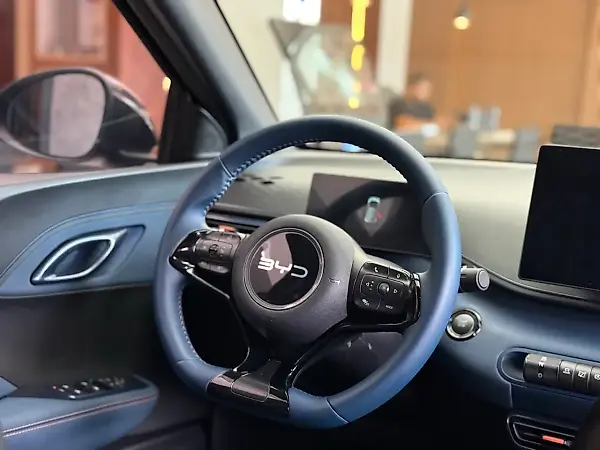 BYD Dolphin Mini - Imagem 12