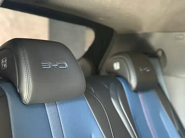 BYD Dolphin Mini - Imagem 11